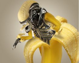 BananaJoe