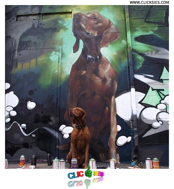 Dog Street Art - www.clicksies.com
