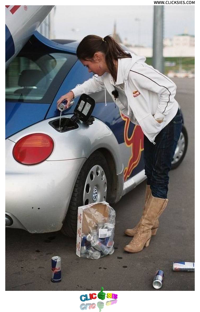 Red Bull gives you wings but can't cure stupidity - www.clicksies.com