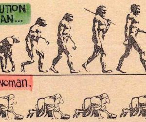 Difference between Evolution and Adaptation