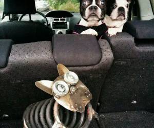 What the Hell am I looking at?
