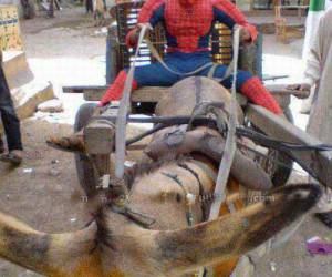 Spiderman (Indian Version)