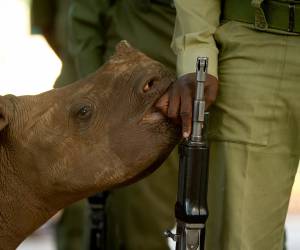 Hold on tight,I will protect you!