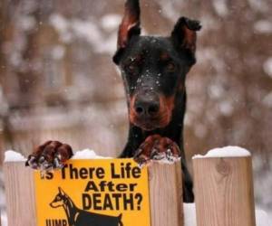 Is there life after death?