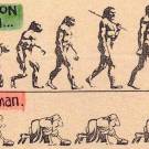 Difference between Evolution and Adaptation