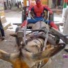 Spiderman (Indian Version)